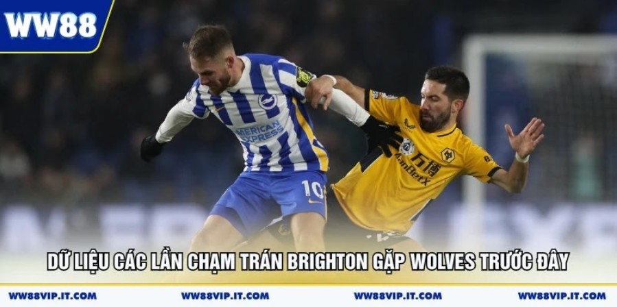 Nhận định Brighton vs Wolves 09/05 chi tiết tỷ số cho bạn Dữ liệu các lần chạm trán Brighton gặp Wolves trước đây