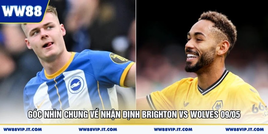 Nhận định Brighton vs Wolves 09/05 chi tiết tỷ số cho bạn Góc nhìn chung về nhận định Brighton vs Wolves 09/05