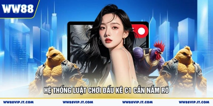 Hệ thống luật chơi đấu kê C1 cần nắm rõ