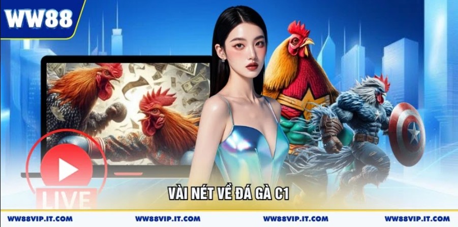 Vài nét về đá gà C1